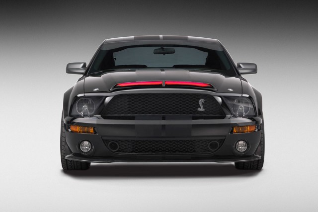 Kara Şimşek Fotoğrafı