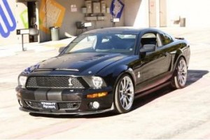 Kara Şimşek Fotoğrafı