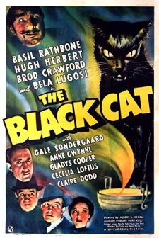 The Black Cat (1941) afişi