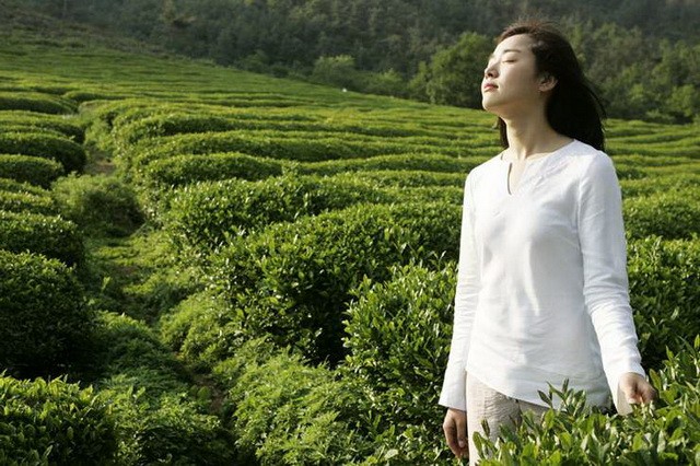 Love Me Not Fotoğrafı