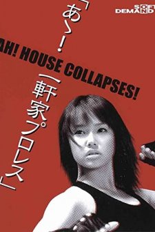 Ah! House Collapses! (2004) afişi