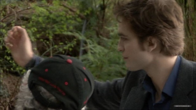 Alacakaranlık Efsanesi: Yeni Ay Fotoğrafı