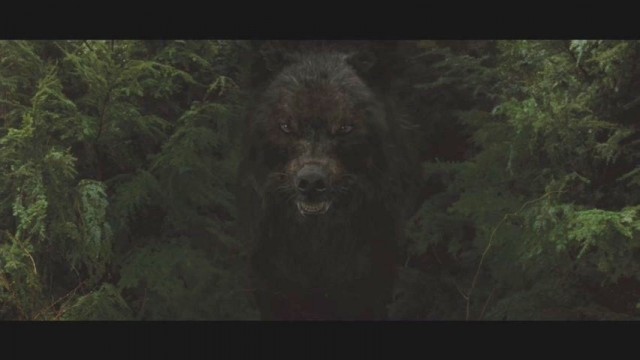 Alacakaranlık Efsanesi: Yeni Ay Fotoğrafı