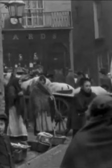 Wexford Bull Ring (1902) afişi