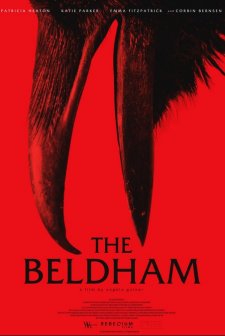 Kocakarı (2025) afişi