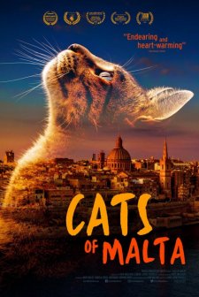 Cats of Malta (2023) afişi