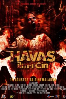 Havas İlm-i Cin (2023) afişi