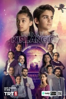 Kod Adı Kırlangıç afişi