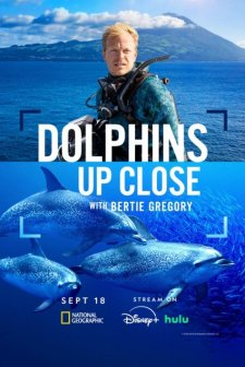 Dolphins Up Close with Bertie Gregory (2025) afişi
