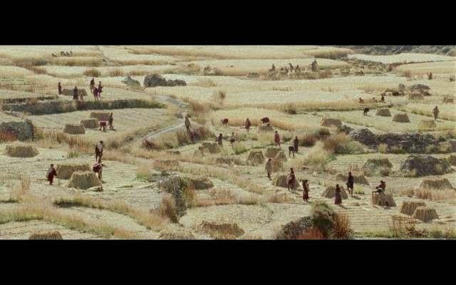 Bir Şefin Çocukluğu Fotoğrafı