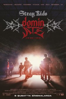 Stray Kids: The dominATE Deneyimi (2026) afişi