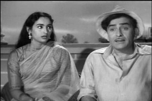 Tatlı Enayi fotoğrafı