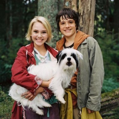 Terabithia Köprüsü Fotoğrafı