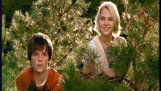 Terabithia Köprüsü Fotoğrafı