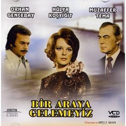 Bir Araya Gelemeyiz Fotoğrafı