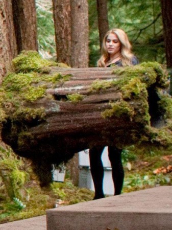 Alacakaranlık Efsanesi: Tutulma Fotoğrafı