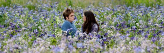 Alacakaranlık Efsanesi: Tutulma Fotoğrafı