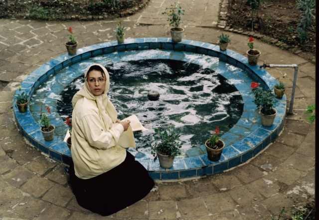 Söğüt Ağacı Fotoğrafı