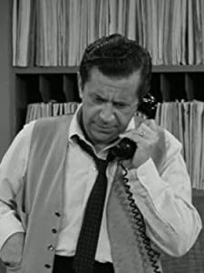 The Dick Van Dyke Show (1962) afişi