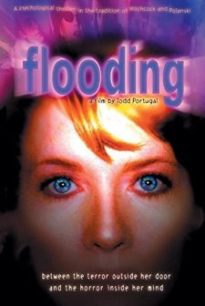 Baskın (2000) afişi