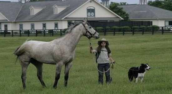 All Roads Lead Home Fotoğrafı