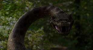 Anaconda 4 fotoğrafı