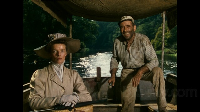 Afrika Kraliçesi fotoğrafı