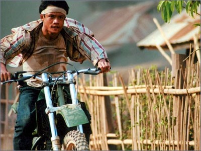 Born to Fight Fotoğrafı