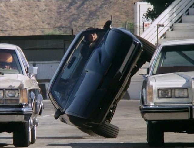 Kara Şimşek Fotoğrafı