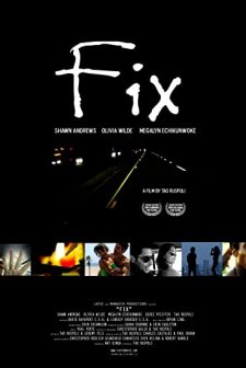 Fix (2008) afişi