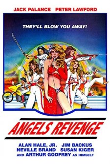 Angels' Brigade (1979) afişi