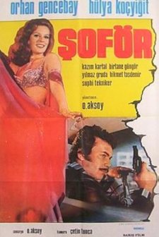 Şoför (1976) afişi