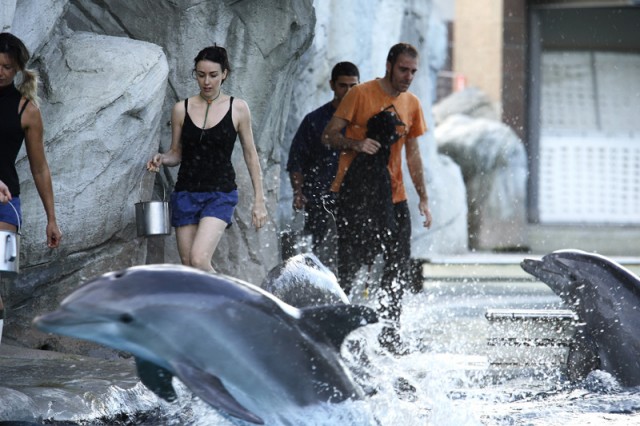 Non Pensarci Fotoğrafı