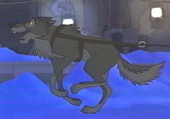 Balto Fotoğrafı