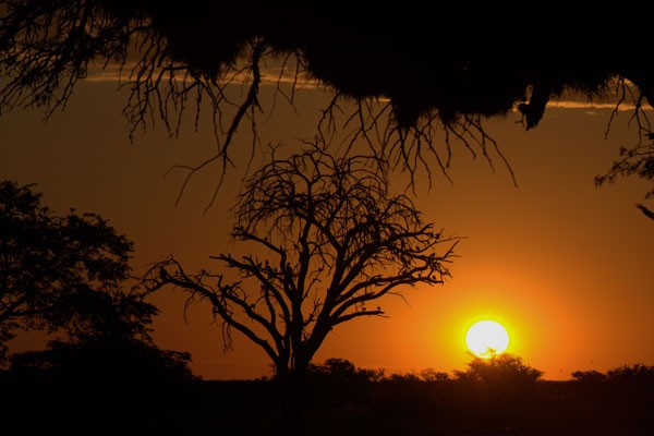 Mirket Ailesi Fotoğrafı