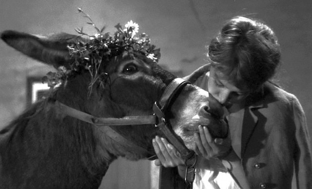 Rastgele Balthazar Fotoğrafı