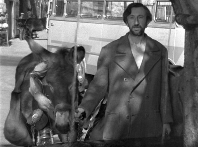 Rastgele Balthazar Fotoğrafı