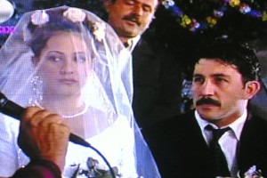 Yılan Hikayesi Fotoğrafı