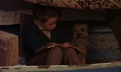 My Life As A Dog Fotoğrafı