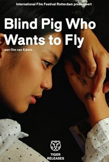 Kör Domuz Uçmak istiyor (2008) afişi