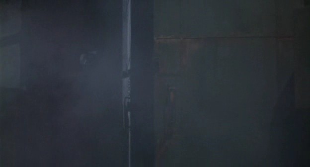 Gece Yaratıkları Fotoğrafı