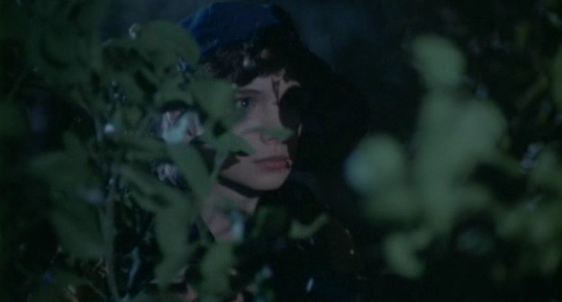 Gece Yaratıkları Fotoğrafı