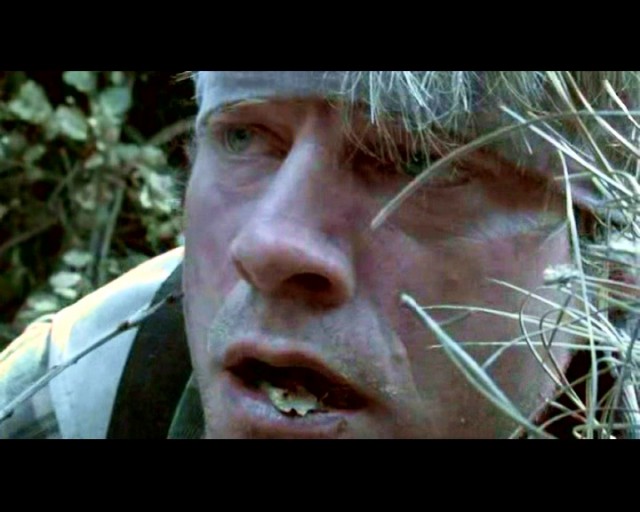 Haunted Forest Fotoğrafı