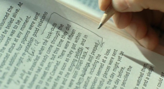 Plyus Odin fotoğrafı