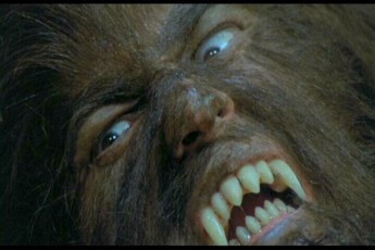 Werewolf Shadow Fotoğrafı