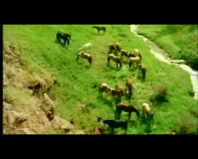 Düş Bekçisi fotoğrafı