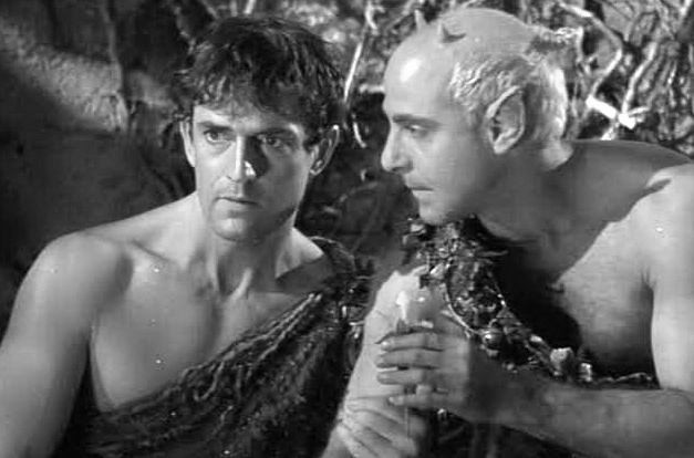 Bir Yaz Gecesi Rüyası Fotoğrafı