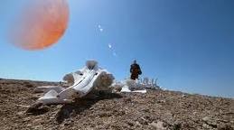 Hunter Prey Fotoğrafı