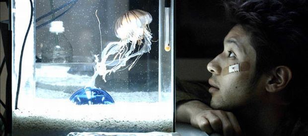 Bright Future fotoğrafı