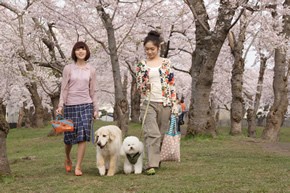 10 Promises To My Dog Fotoğrafı